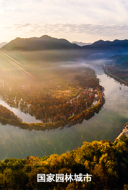 國家園林城市