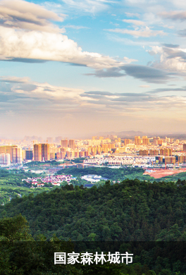 國家森林城市