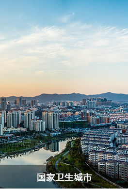 國家衛生城市