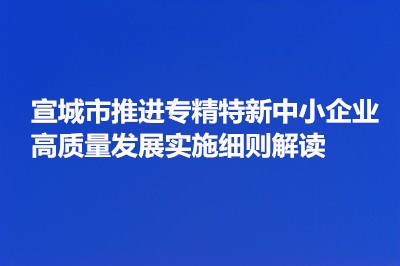 《宣城市推進專精特新中小企業高質量發展實施細則》解讀