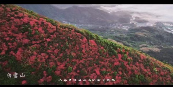 縣長(zhǎng)推介旌德