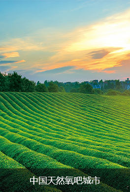 中國天然氧吧城市