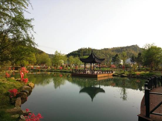 妙泉杜鵑花谷（AAA）