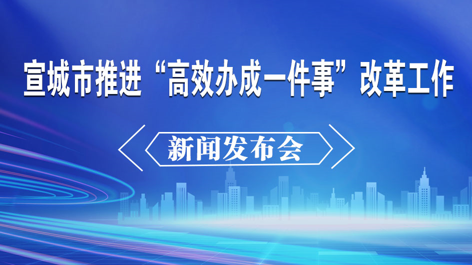 宣城市推進“高效辦成一件事”改革工作